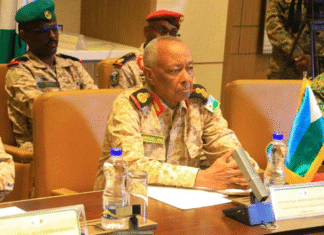 Ethiopia and Djibouti Hold 11th Joint Defense Committee Meeting to Bolster Military Cooperation