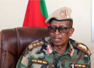Former Somali Army Commander Hails Hawadle Clan Fighters as “Dervishes of This Century” Amid Al-Shabaab Advance in Hiiraan