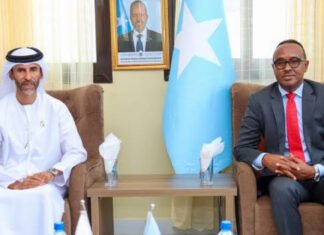 Somalia, UAE Discuss Boosting Humanitarian Aid and Drought Response