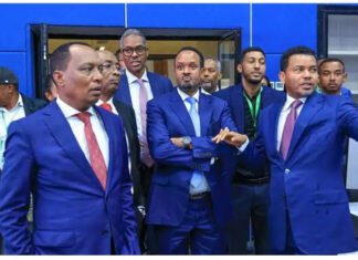 Ethiopia, China in Talks to Upgrade Ethio-Djibouti Railway