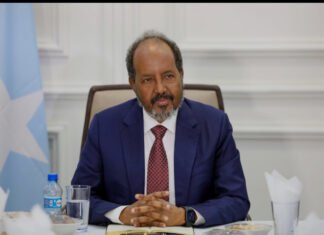 Somali Government Faces Accusations Over Sale of Historic Public Assets