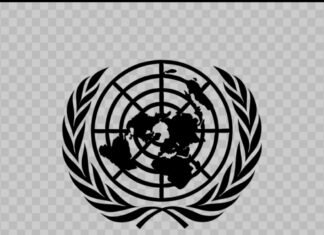 UN Warns of Alliance Between Yemen’s Houthis and Al-Shabaab Threatening the Horn of Af