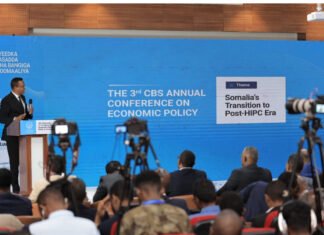 The Somali Government Undertakes Efforts to Modernize the Country’s Economy and Financial System