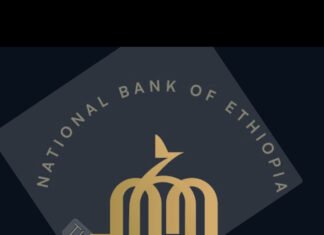 Ethiopia Urges U.S. to Probe Owned Money Transfer Firms in Maryland, Virginia, and Minnesota