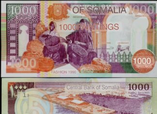 Somalia Plans to Print New Somali Shillings for the First Time in Over 30 Years