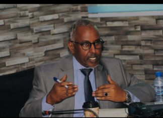 Former Oil Minister Verbally Attacks on Somali Government Over Diplomatic Scandal