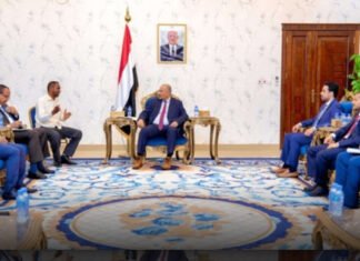 Somalia, Yemen Boost Bilateral Relations with Focus on Security