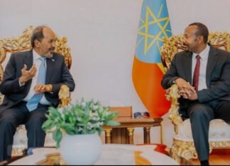 Gedo Tensions Put Somalia–Ethiopia Relations at Risk