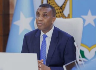 What We Know About Somalia’s Prime Minister’s Visit to China