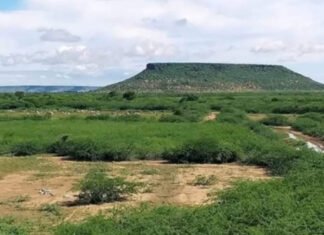 Somali Government Moves to Establish Parallel Administration in Gedo, Escalating Tensions with Jubbaland