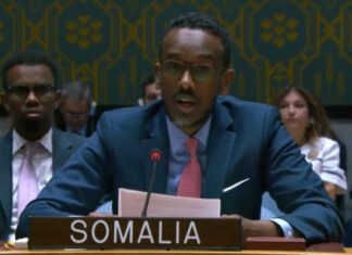 Somalia Reaffirms Commitment to Upholding Maritime Law at UN Security Council