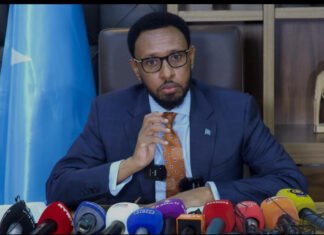 Somalia Introduces Digital System to Modernize Vehicle Tax Collection