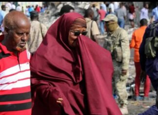 Dispute Over Public Land in Somalia Sparks Debate on Governance and Citizens’ Rights