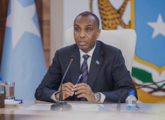 Impeachment Motion Against Somali PM Hamza Gains Momentum