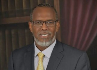 Somali Government Appoints New Director for Mogadishu