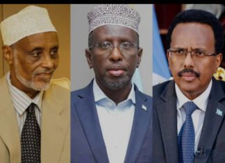 Ex-Somali Presidents Decry Public Land Grabs as Constitutional Breach