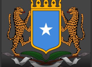 Somalia’s Federal Government Faces Allegations of Rights Abuses and Forced Evictions Ahead of Elections