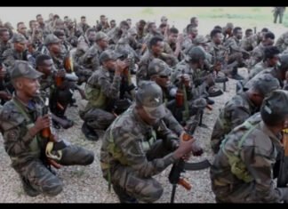 Somali Joint Forces Prepare Major Anti-Al-Shabaab Operation in Middle Shabelle