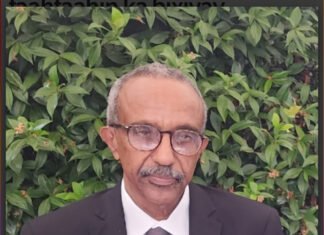 Somali Ambassador in Rome Confirms Deaths in Lampedusa Migrant Boat Tragedy