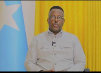 Somalia Justice Minister: Govt to Hold One-Person, One-Vote Elections