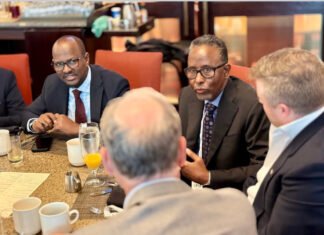 U.S. Opens New Energy Cooperation Talks With Somali Government