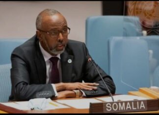 Somalia Marks Historic Role at UN Security Council Amid Domestic Challenges