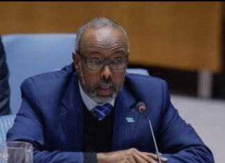 Somalia’s UN Ambassador Condemns Gaza Blockade, Calls for Urgent Ceasefire