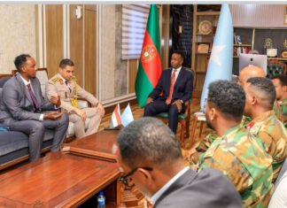 Somalia Welcomes Egyptian Role in AU Stabilization Mission