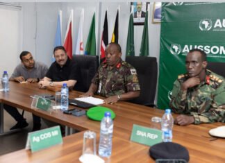 Egyptian Military Officers Arrive in Mogadishu to Inspect Deployment Sites