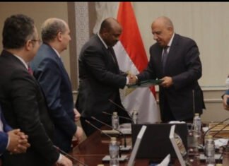 Egypt and Djibouti Announce Partnership on Doraleh Port Expansion