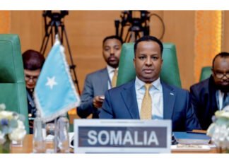 Somalia Calls for Immediate Ceasefire in Gaza