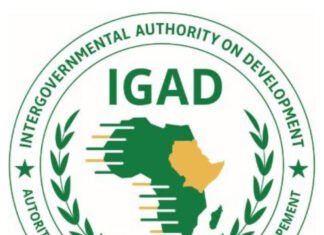 IGAD Welcomes Somalia Government–Opposition Agreement