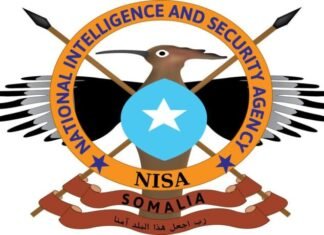 NISA Says Al-Shabaab Members Killed in Planned Operation in Hiiraan