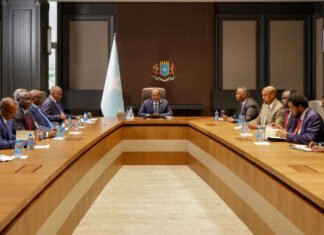 Sudan Calls on Somalia to Stop UAE-Backed Mercenary Activity in Puntland