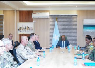 President Hassan, New AFRICOM Commander Discuss Security Cooperation in Somalia