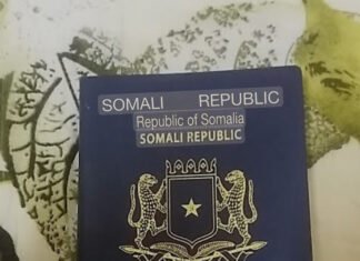 Somalia’s Dual Visa Dilemma: Regional Power Struggles Undermine Federal Authority