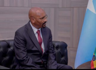 Ethiopian Ambassador to Somalia Criticizes Arab League