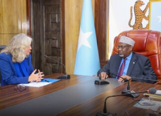 Speaker of Somali Parliament Meets New EU Ambassador in Mogadishu