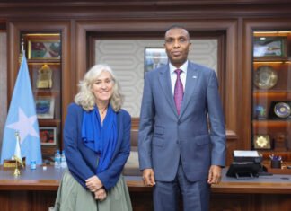 New EU Envoy Meets Somalia PM in Mogadishu