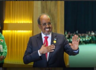 Somali President Calls for Global Cooperation to Combat Climate Change