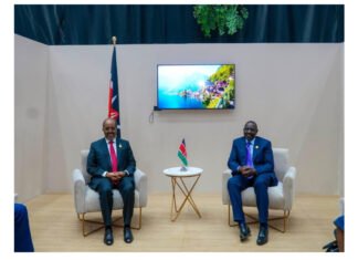 Somali President Meets Djibouti and Kenyan Leaders on Security and Regional Cooperation