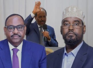 UAE Mediates Between Somali President and Federal Member States