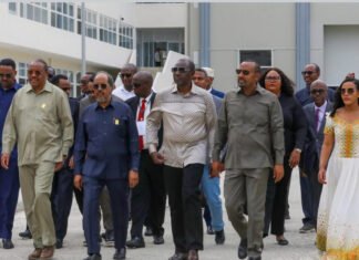 Somali President Attends High-Level Summit in Guba, Ethiopia