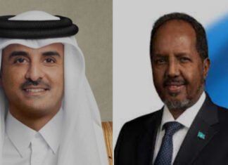 Somali President Talks with Qatar’s Emir, Condemns Israeli Airstrikes