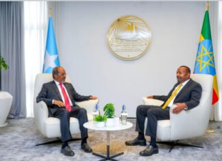 Somali President Holds Talks with Ethiopian Prime Minister in Addis Ababa