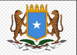 Somali Government Hails Military Success in Ceel-Dheer Offensive