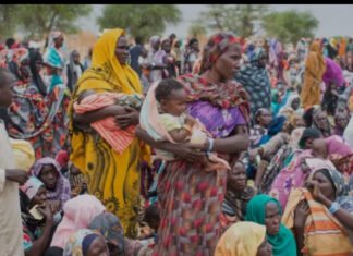 US, Saudi Arabia, UAE, and Egypt Propose Peace Plan for Sudan Conflict