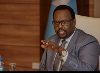 Somali Deputy PM Says, “Mogadishu Now Safer Than in Past Decade”