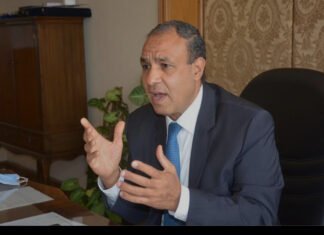 Egypt Faces Regional Threats, Says Foreign Minister