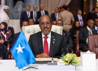 Somali Leader Calls for Enforcement of UN Resolutions to Halt Israeli Aggression